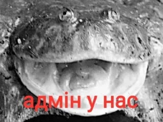 😡