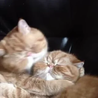 😛