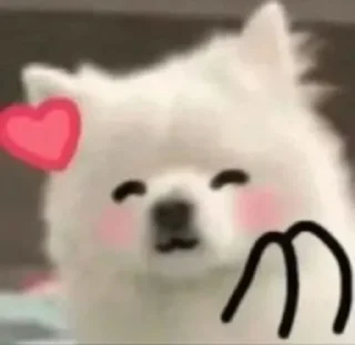 👏