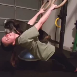🐩