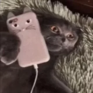 📞