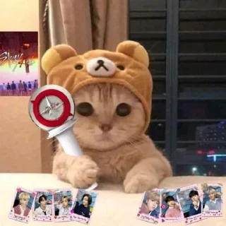 💓