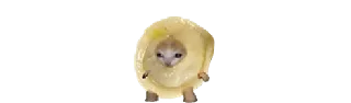 🥟