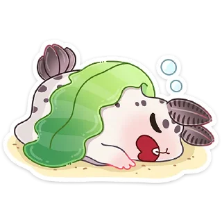 😴