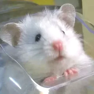 🙂