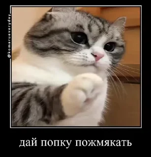🙈