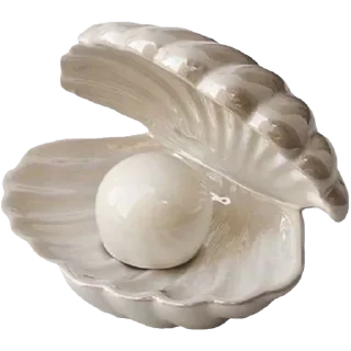 🐚