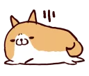 🐶