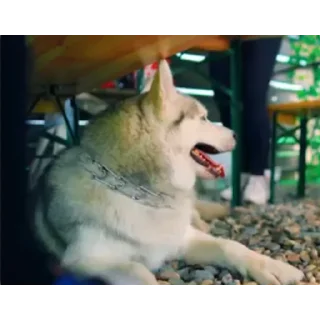 👍