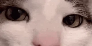 😑