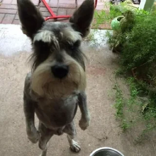 🤬