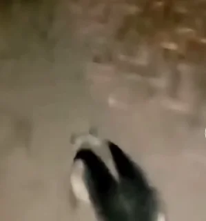 😧
