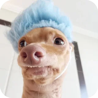 👍