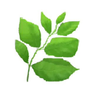 🌿