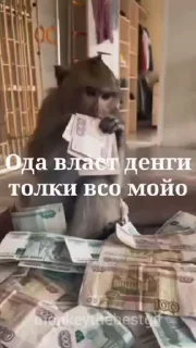 🤩