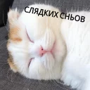 😴