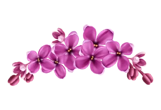 🌸