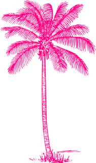 🌴