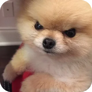👍
