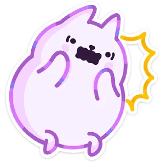 🐱