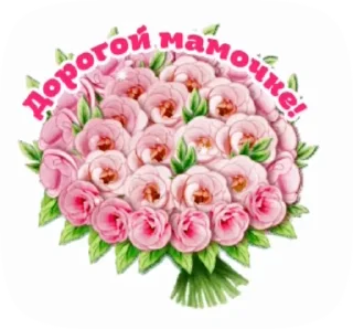 🌺