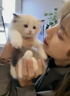 💋