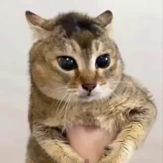 😳
