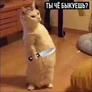 🦁