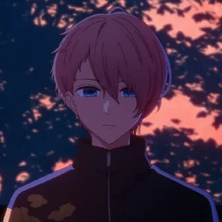 🌟