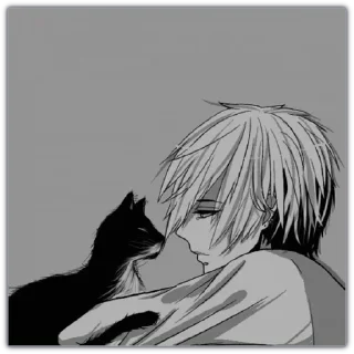 😿