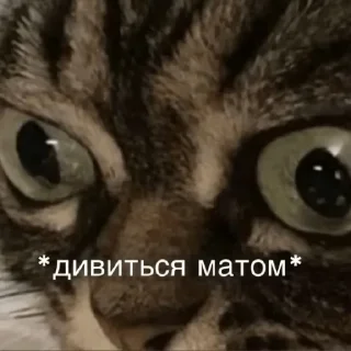 🤯