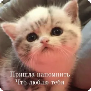 ❤️