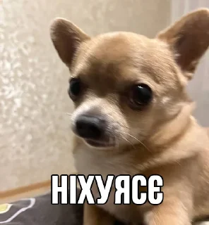 🙄