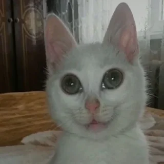 😲