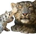 ✋