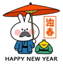 🎉