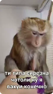 😱