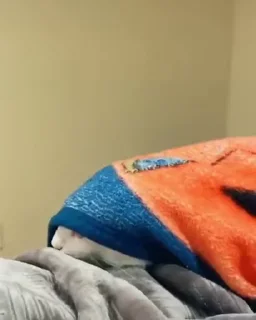 🙀