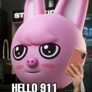🐷