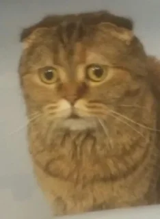 😶