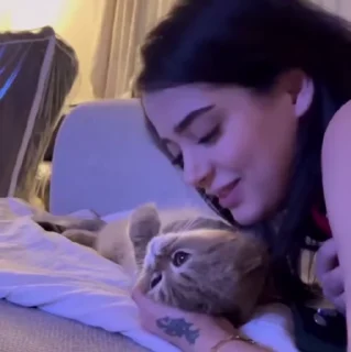 🐱