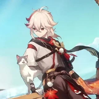 🌟