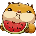 🍉