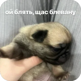 🤮