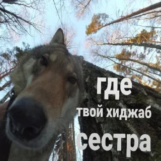 🧕