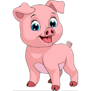 🐷