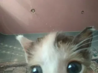 👀