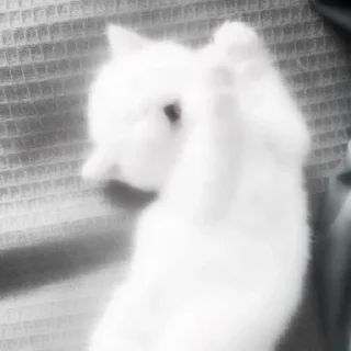 🚬