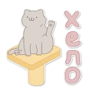 purrfect cat