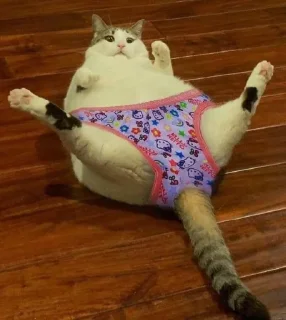 🤭